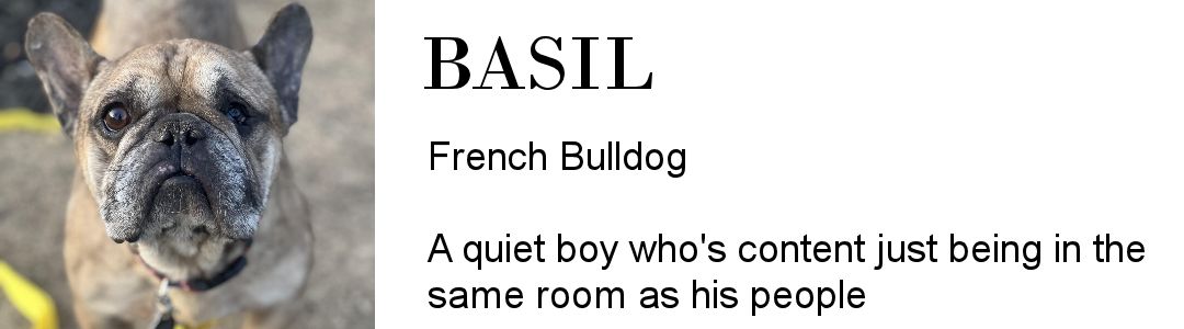 Basil