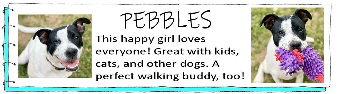 Pebbles