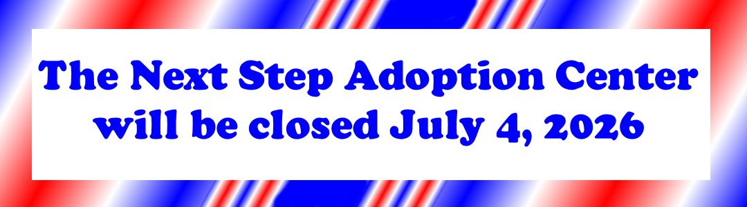 The NSAC will be closed July 4, 2026